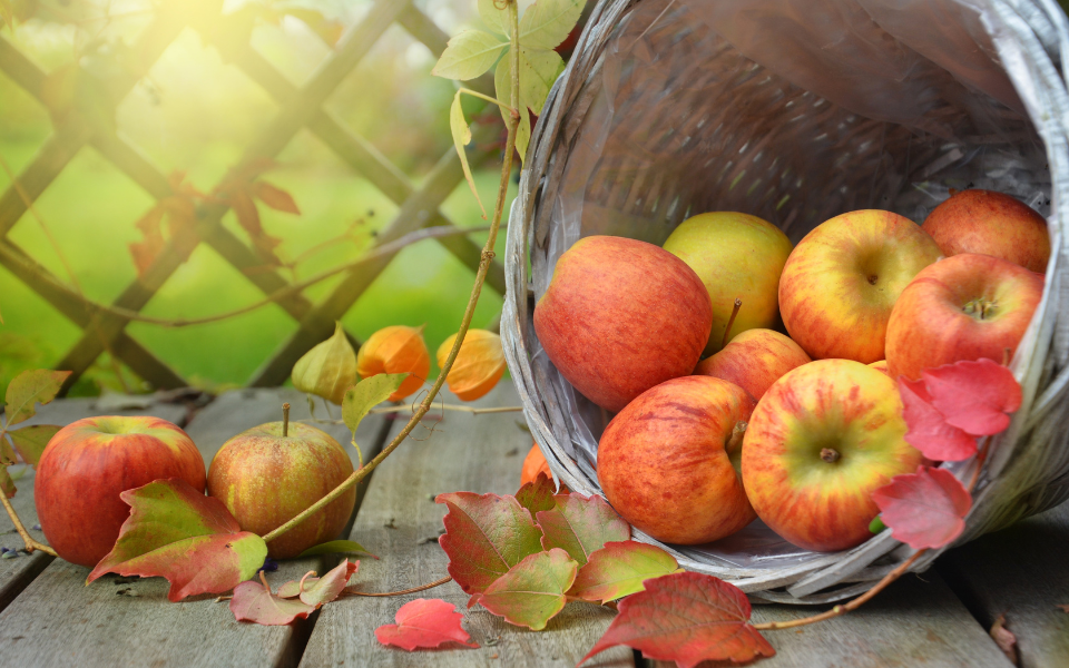 Comer uma maçã pode substituir a escovação?